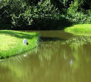 Eindrücke aus dem Stadtpark von Groningen