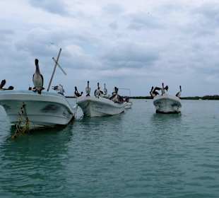 Rio Lagartos Yucatan