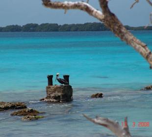 Ausflug Los Roques