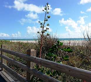 Blick auf den Strand