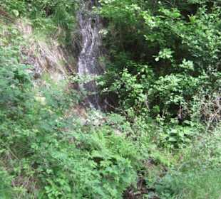 Das wunderschöne Grotto Dangri