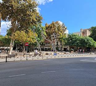 Paseo de Vara de Rey in Ibiza Stadt / Eivissa