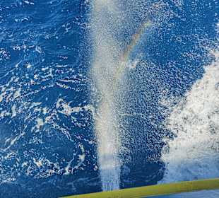 Glasbodenboot Tour Hurghada