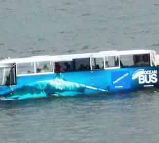 Ocean Bus