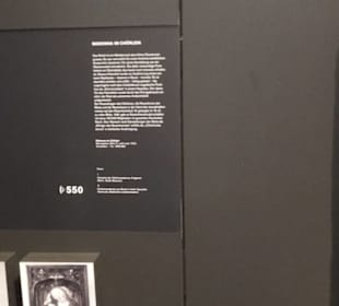 Rheinisches Landesmuseum