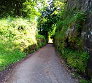 Wanderweg René-Char-Dichterweg La Petite Pierre