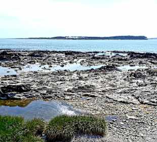 Stadtrundgang Punta del Este