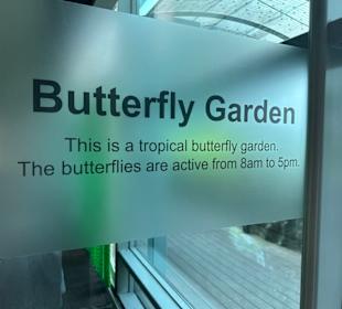 Butterfly Garden Changi