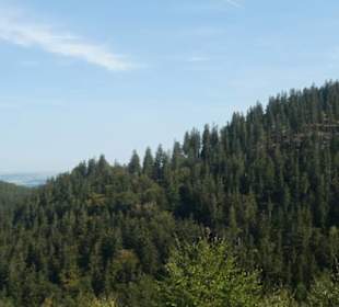 Unterwegs im Thüringer Wald bei Friedrichroda
