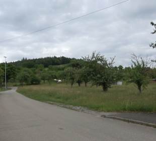 Wanderweg - Alter Steinbruch Pfaffenberg Runde