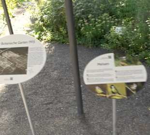 Botanischer Garten München