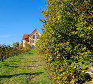 Weg Nr.4