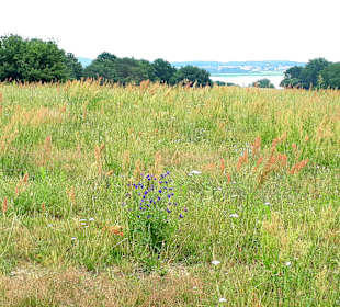 Wanderung Loddiner Höft