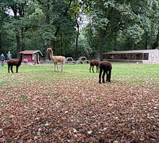 Steinerbos Belevenispark