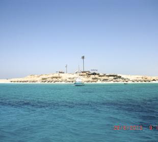 Ausflug zu der Insel mit Karibischen Vierling 