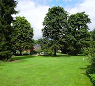 Hochsommer im Kurpark Bruchhausen-Vilsen