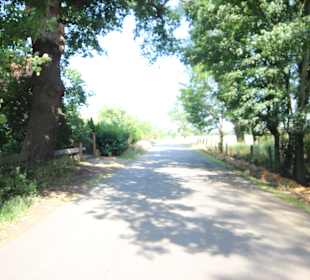 Stadtrundgang Hannover