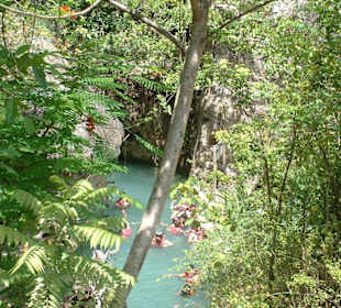 Fluss
