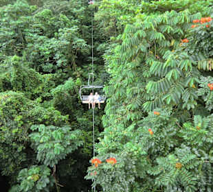 Schweben durch den Urwald