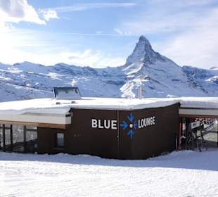 Blue Lounge Blauherd