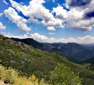 Der Weg ist das Ziel 