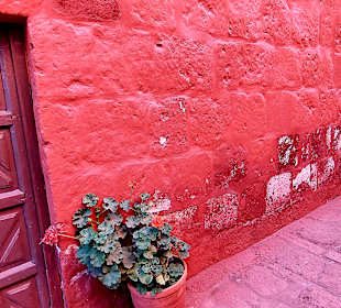 Santa Catalina Kloster