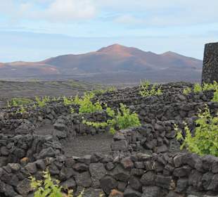 La Geria, Lanzarote