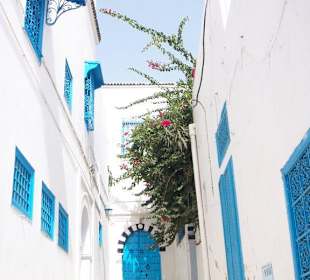 Die "Blau-weisse Stadt"