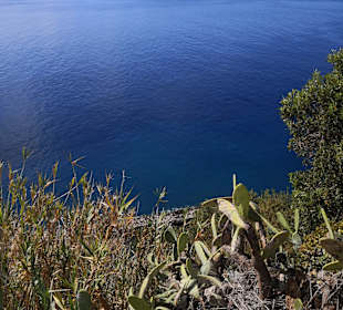 Inselrundfahrt Madeira