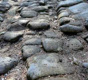 Unebenheiten auf dem Weg