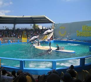 Miami Seaquarium