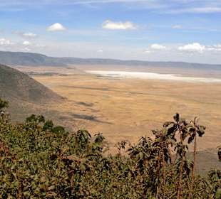 Blick auf den Ngorogoro-Krater
