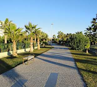 Joggen über die neue Promenade