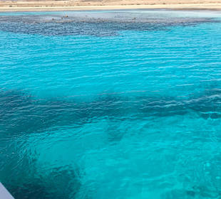 Tauchbasis Aquarius Marsa Alam