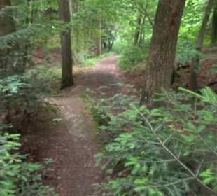 Wanderweg - Alter Steinbruch Pfaffenberg Runde