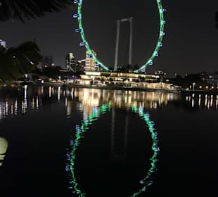 Singapore Flyer bei Nacht