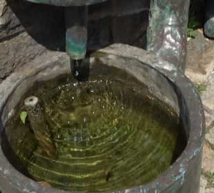 Beerlesklopfer-Brunnen