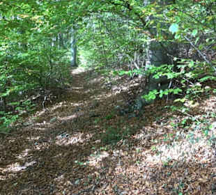 Premiumwanderweg hochgehkeltert