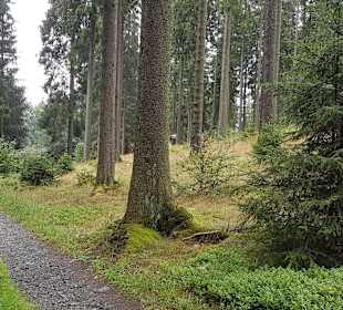 Wandern Schmallenberg