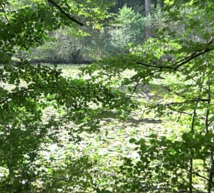 Schaichtalweg - Schlüsselsee