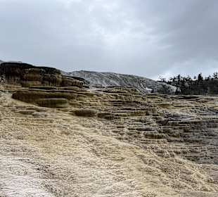 Yellowstone Nationalpark