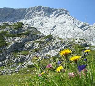 Ausflug Alpsitzregion