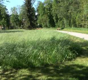 Kurpark Bad Niedernau