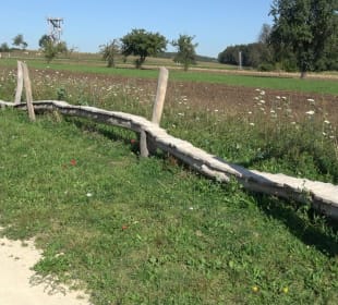 Kelten-Erlebnis-Pfad Erkenbrechtsweiler