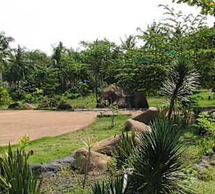 В зоопарке Бали