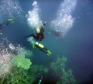 Wir kommen wieder, aber nur noch im Winter
