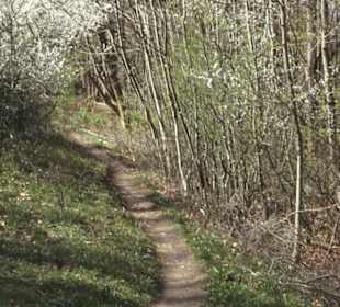 Wanderweg Hochgehkämpft