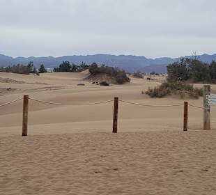 Dünen von Maspalomas