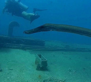 Bayahibe Atlantic Princess Wreck