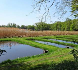 Rundgang durch das Naturschutzgebiet Riddagshausen